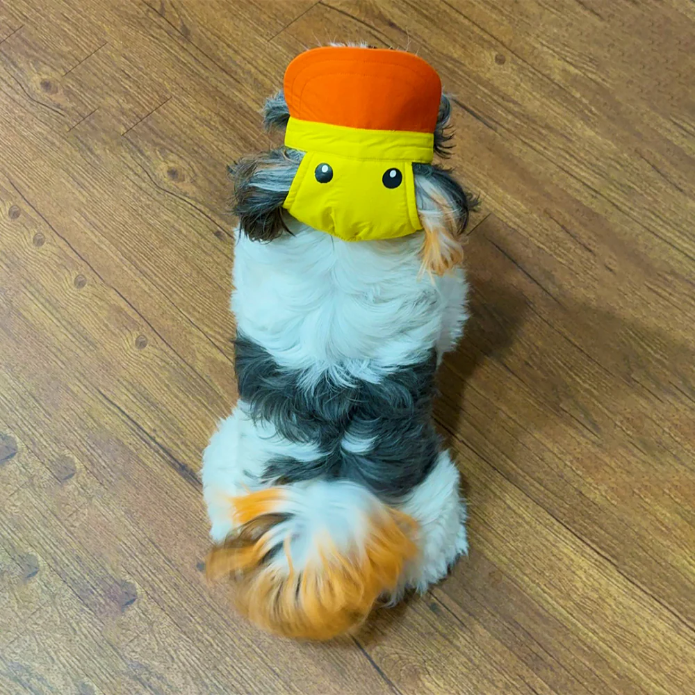 Dogobow Duckie Cap for Dogs and Cats (Yellow/Orange) (Get a Bow Free) - Image 5