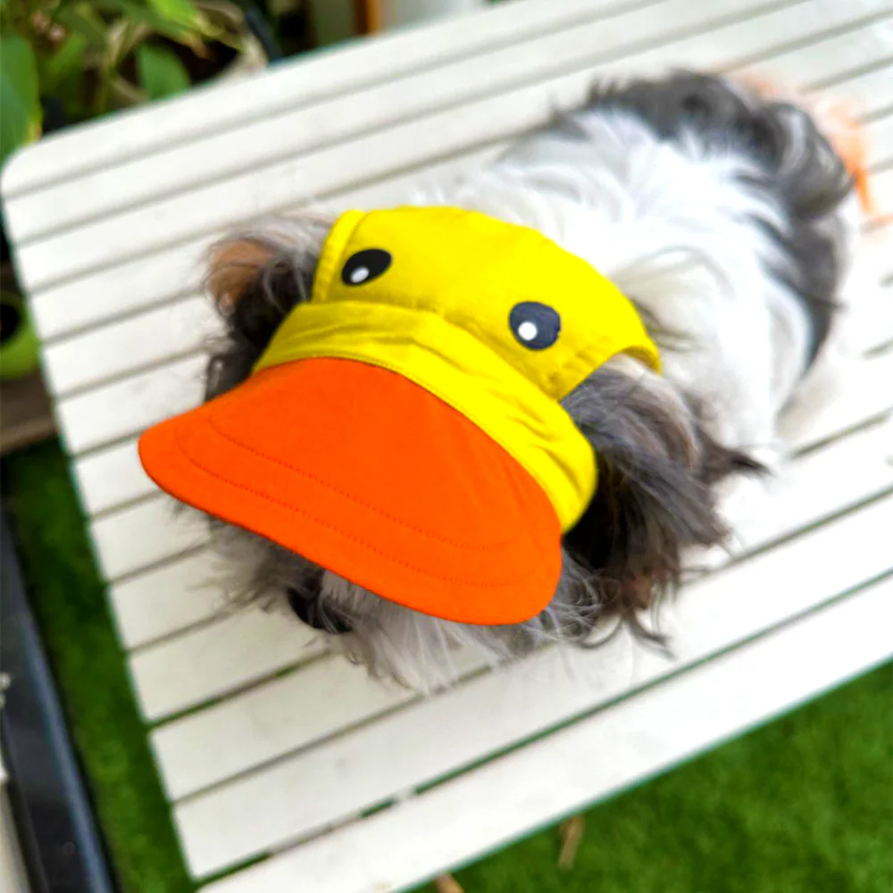 Dogobow Duckie Cap for Dogs and Cats (Yellow/Orange) (Get a Bow Free) - Image 6