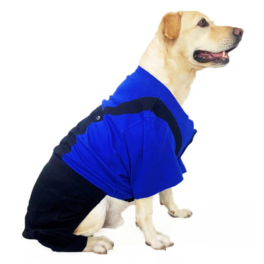 Dogobow Dungaree Dress For Dogs (Blue/Black) (Get a Bow Free) - Image 4