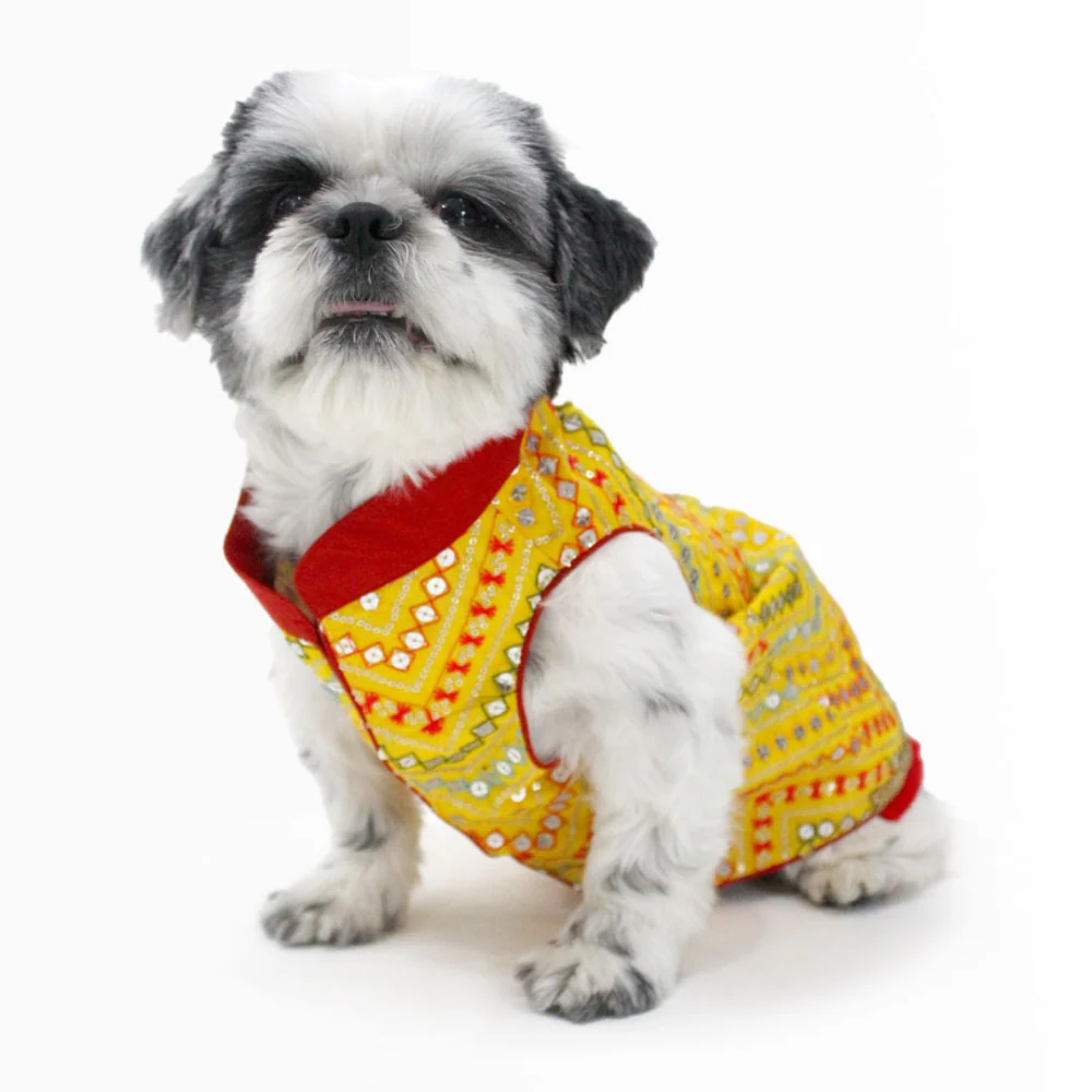 Dogobow Embroidered Sherwani for Dogs (Yellow) - Image 2