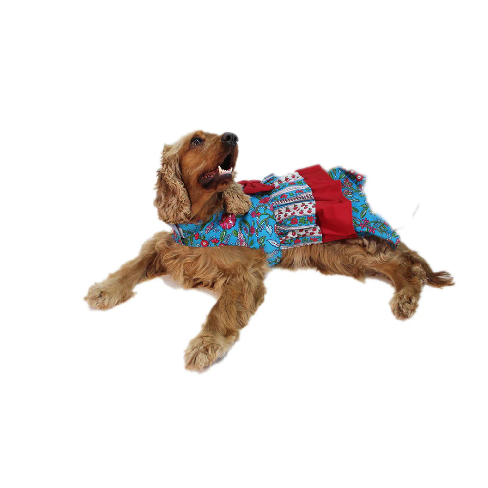 Dogobow Floral Layered Dress For Dogs (Blue) (Get a Bow Free) - Image 4