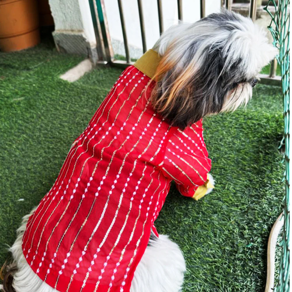 Dogobow Georgette Embroidered Kurta for Dogs and Cats (Red) - Image 4