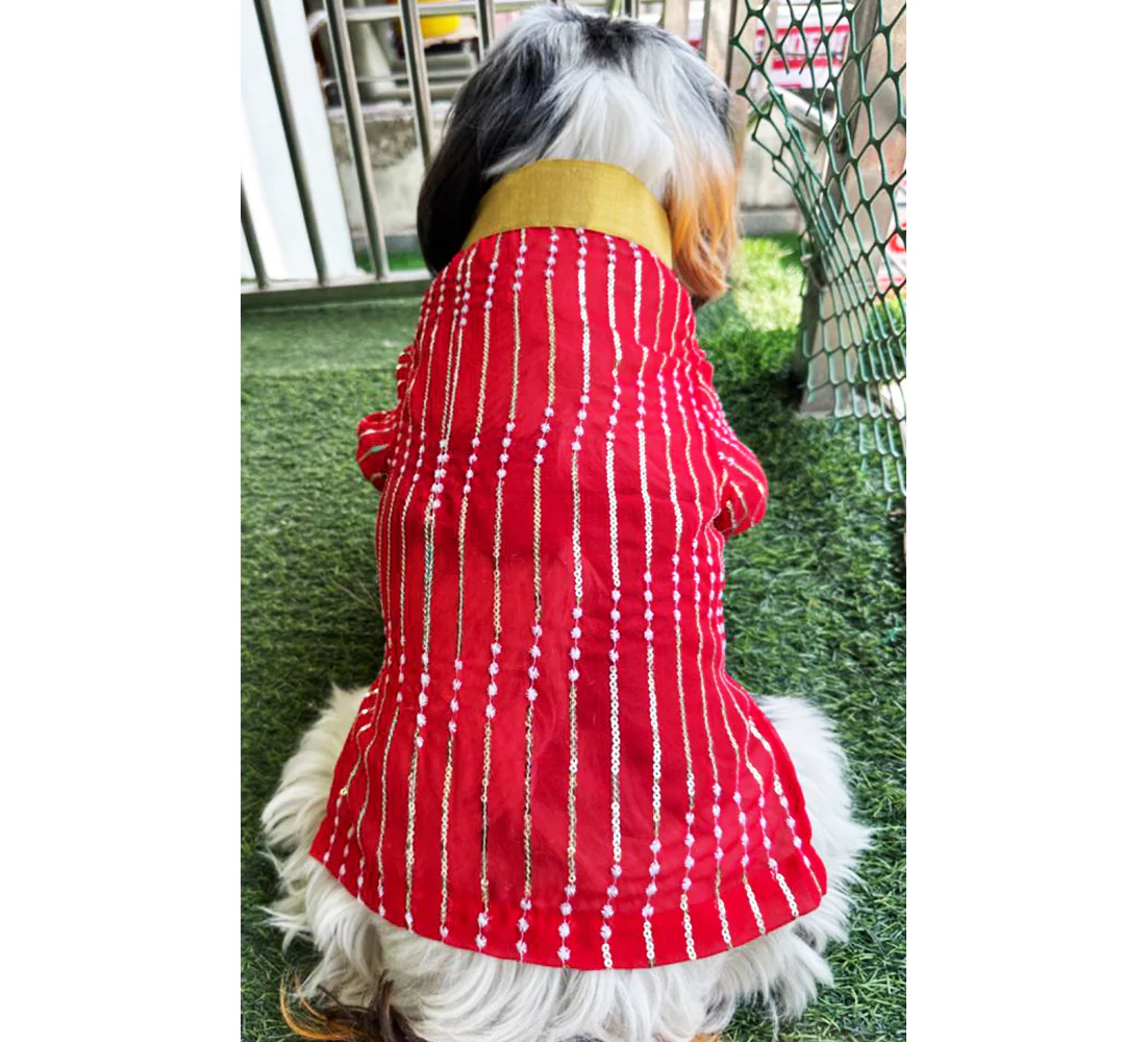 Dogobow Georgette Embroidered Kurta for Dogs and Cats (Red) - Image 5