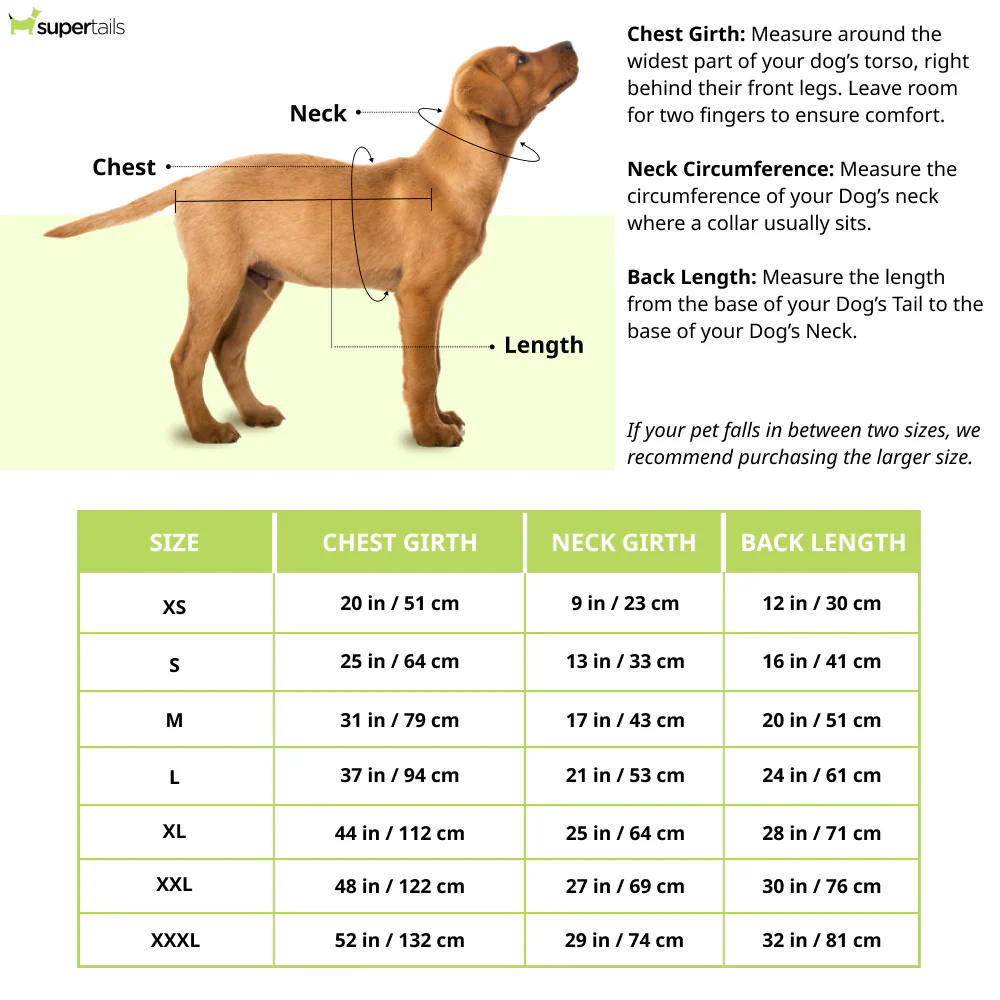 Dogobow Mirror Kurta for Dogs (Lilac) - Image 3