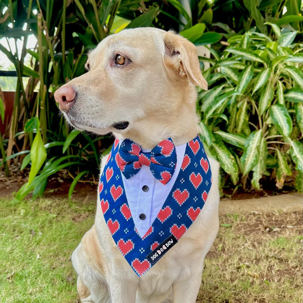 Dogobow Hearty Print Tuxedo Bandana for Dogs (Blue/Red) - Image 4
