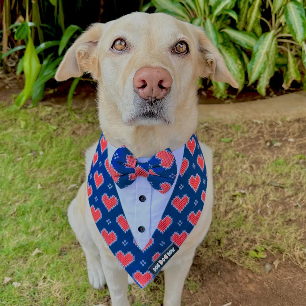 Dogobow Hearty Print Tuxedo Bandana for Dogs (Blue/Red) - Image 5