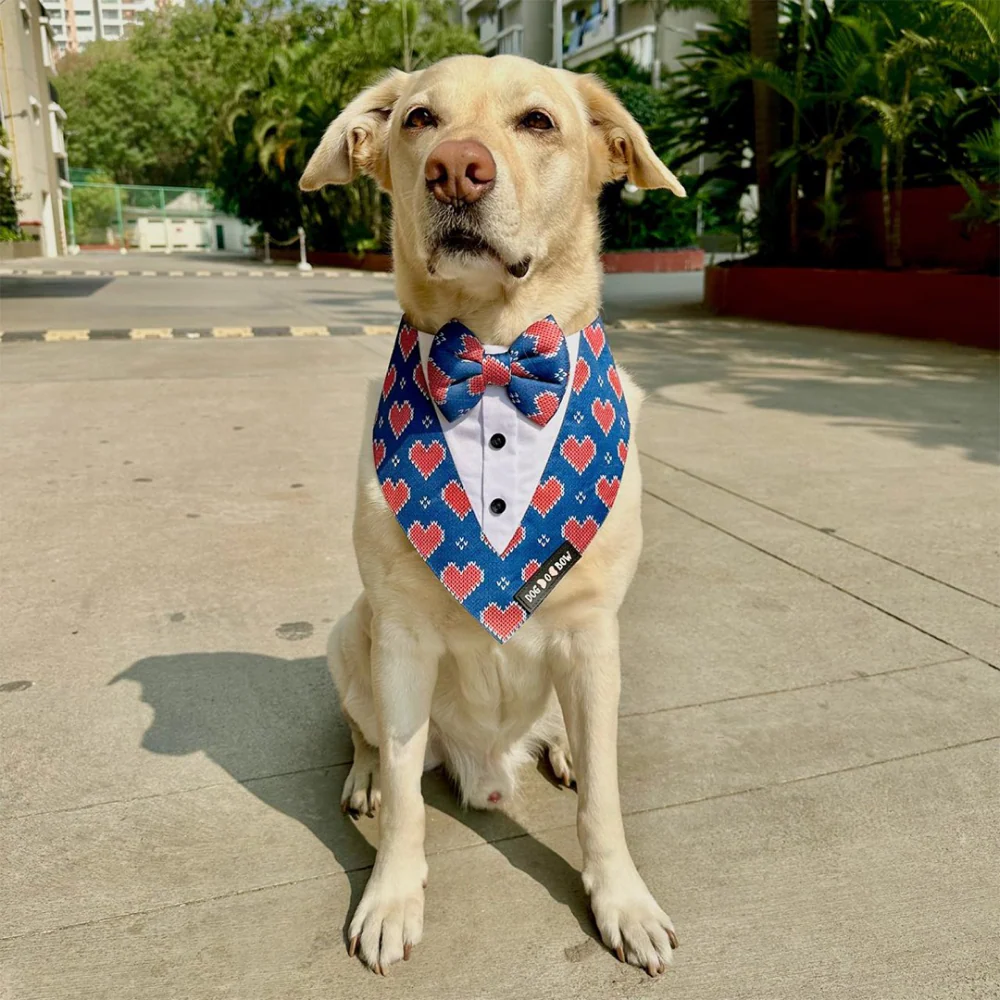 Dogobow Hearty Print Tuxedo Bandana for Dogs (Blue/Red) - Image 6