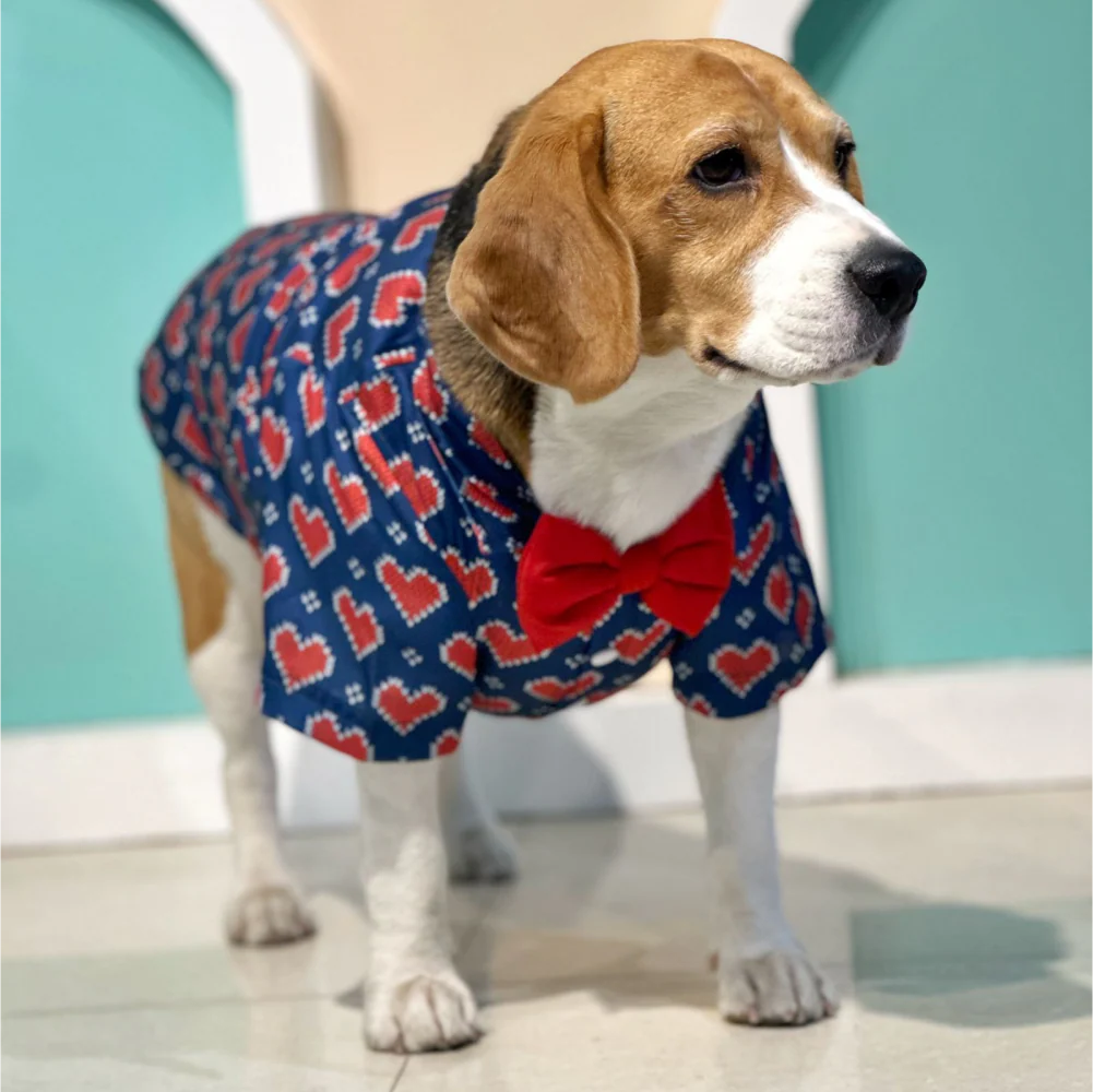 Dogobow Hearty Shirt for Dogs and Cats (Blue) (Get a Bow Free) - Image 3