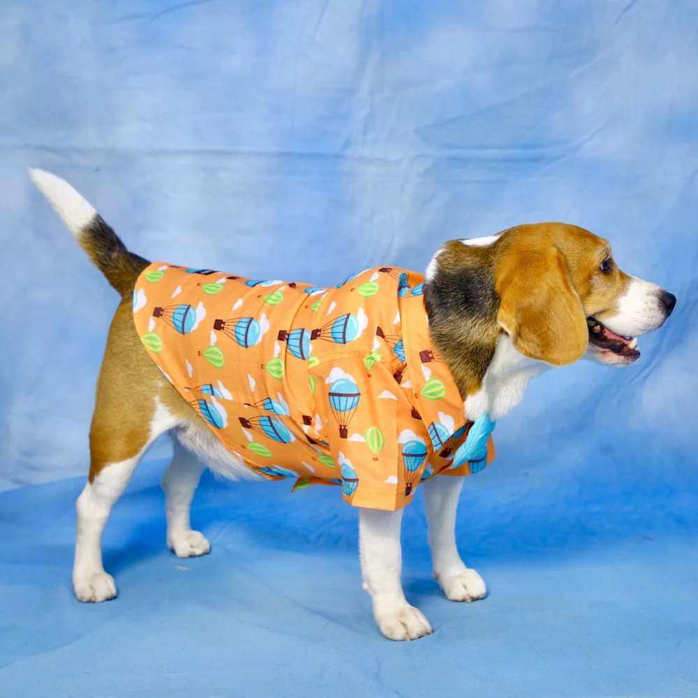 Dogobow Hot air Ballon Print Shirt for Dogs (Orange/Blue) - Image 4