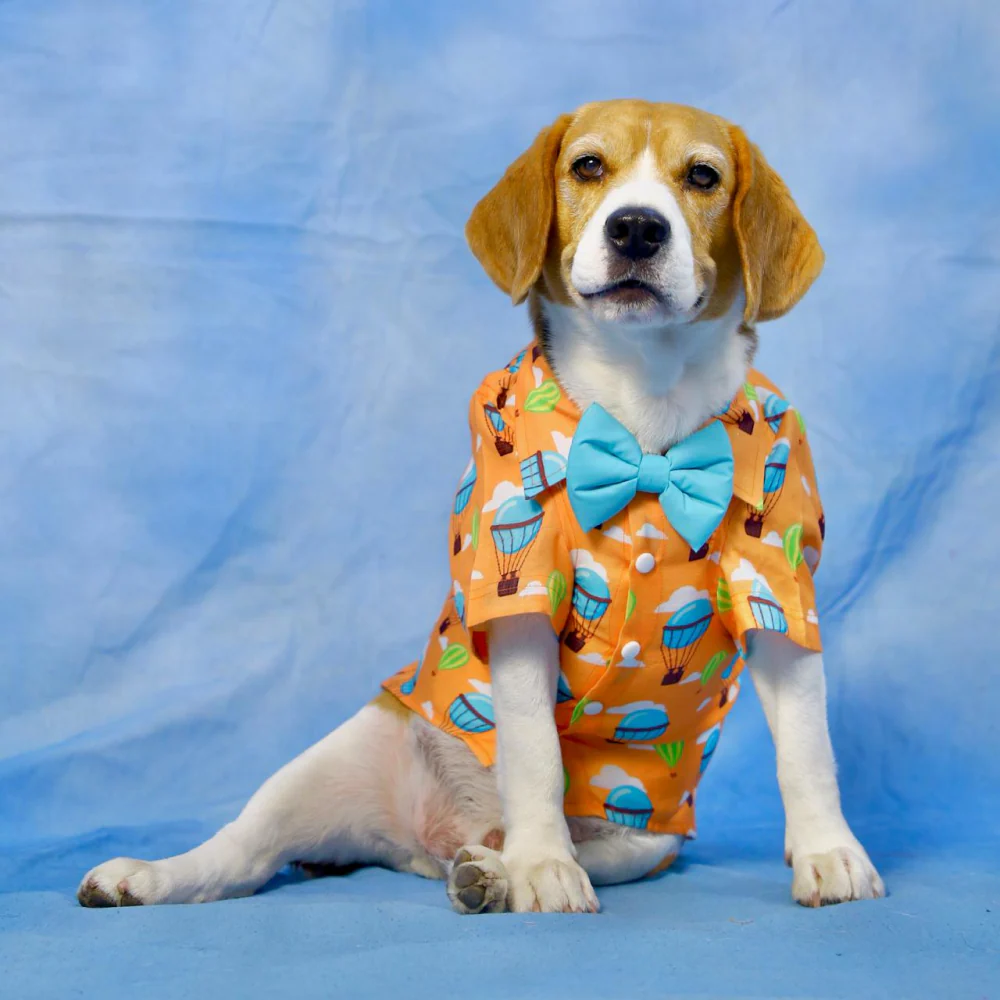 Dogobow Hot air Ballon Print Shirt for Dogs (Orange/Blue) - Image 5