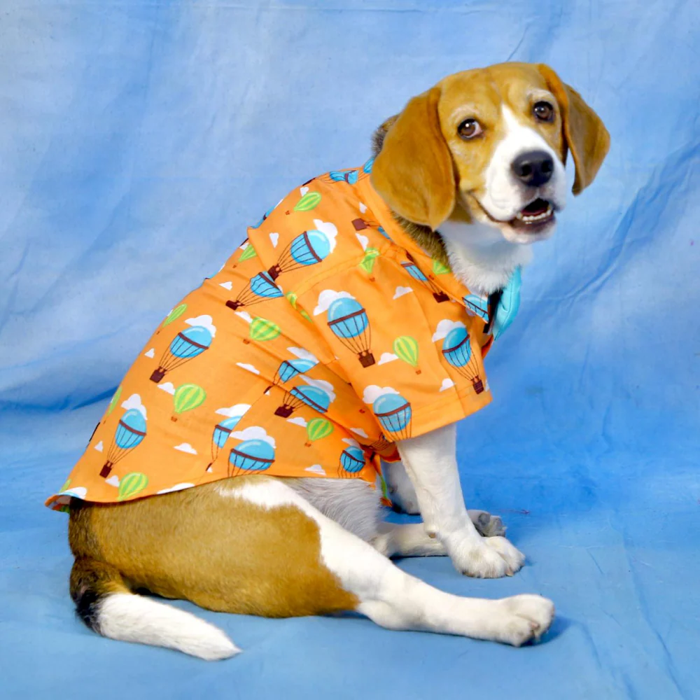 Dogobow Hot air Ballon Print Shirt for Dogs (Orange/Blue) - Image 6
