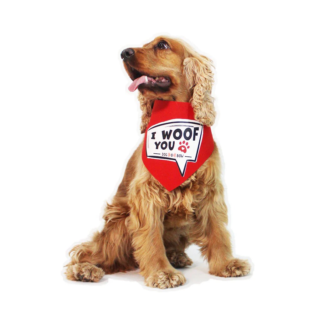 Dogobow I Woof You Scarf for Dogs (Red) (Get a Bow Free) - Image 4