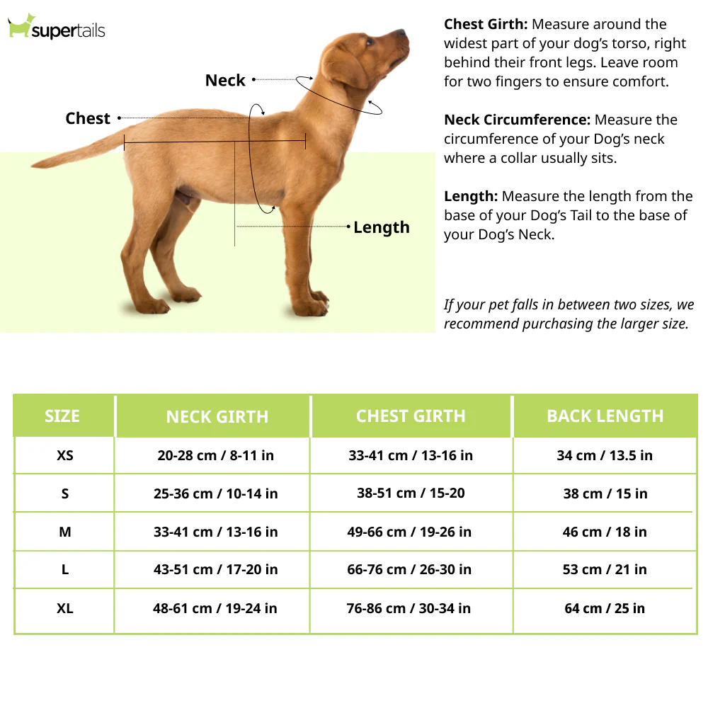 Dogobow Layered Dress For Dogs (Pink) (Get a Bow Free) - Image 3