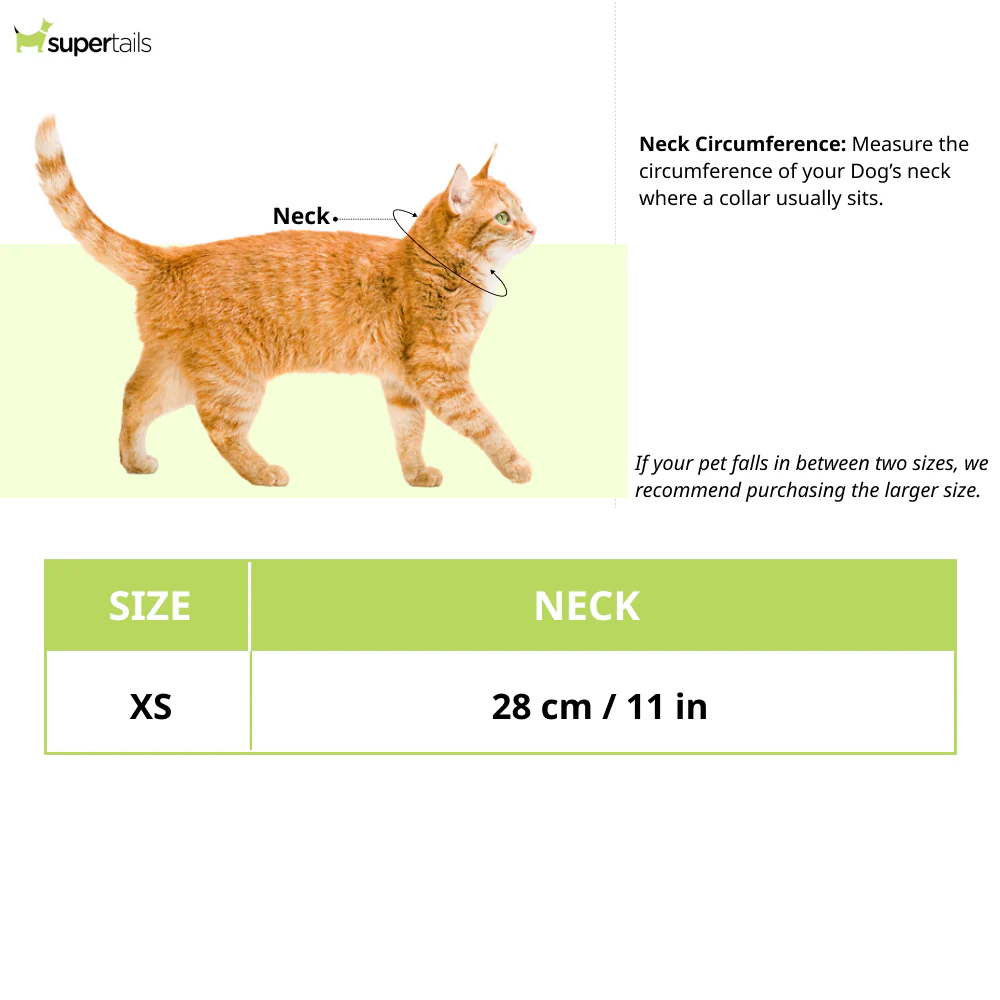 Dogobow Layered Neck Tutu for Dogs and Cats (Green) (Get a Bow Free) - Image 3