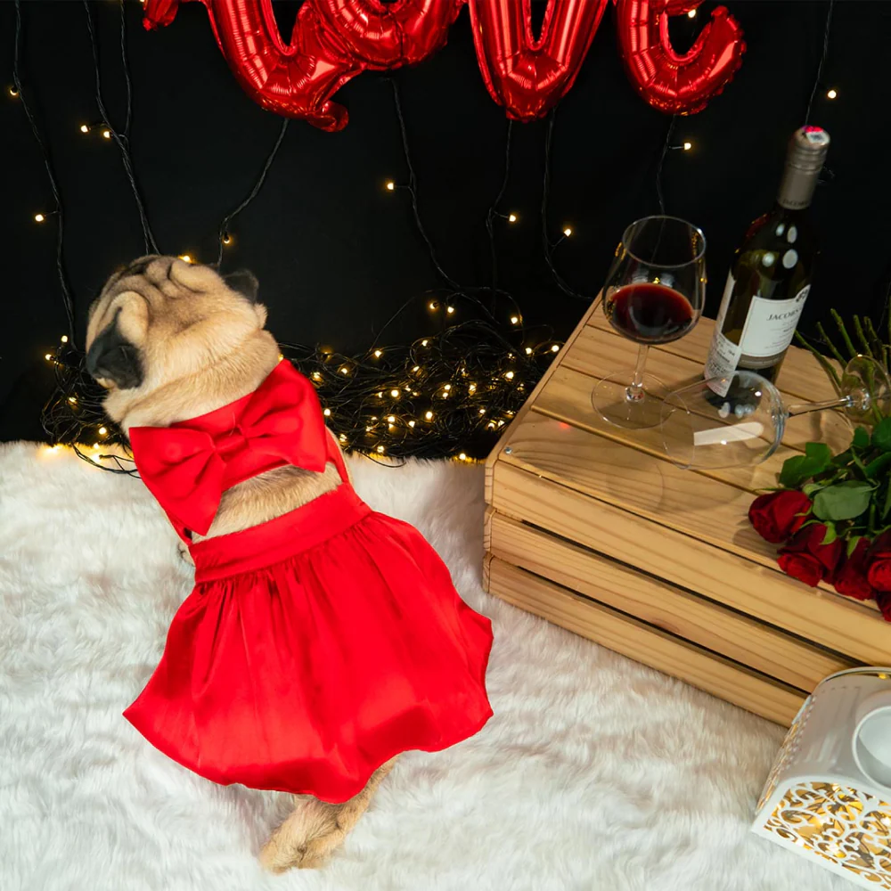 Dogobow Little Dress for Cats and Dogs (Red) - Image 2