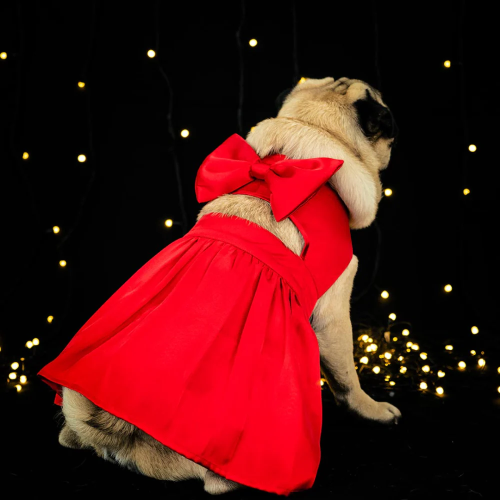 Dogobow Little Dress for Cats and Dogs (Red) - Image 5