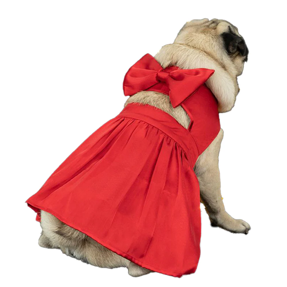 Dogobow Little Dress for Cats and Dogs (Red) - Image 6