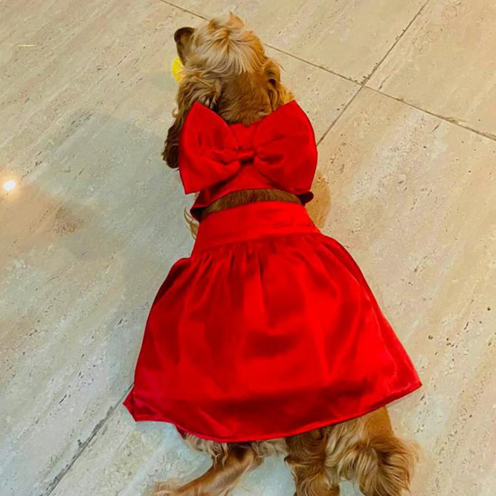Dogobow Little Dress for Cats and Dogs (Red) - Image 7