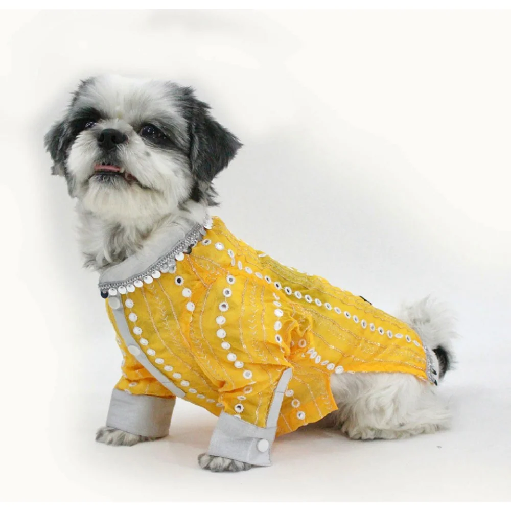 Dogobow Mirror Kurta for Dogs (Yellow) - Image 10