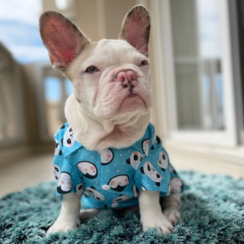 Dogobow Panda Print Shirt for Dogs (Blue/White) - Image 5