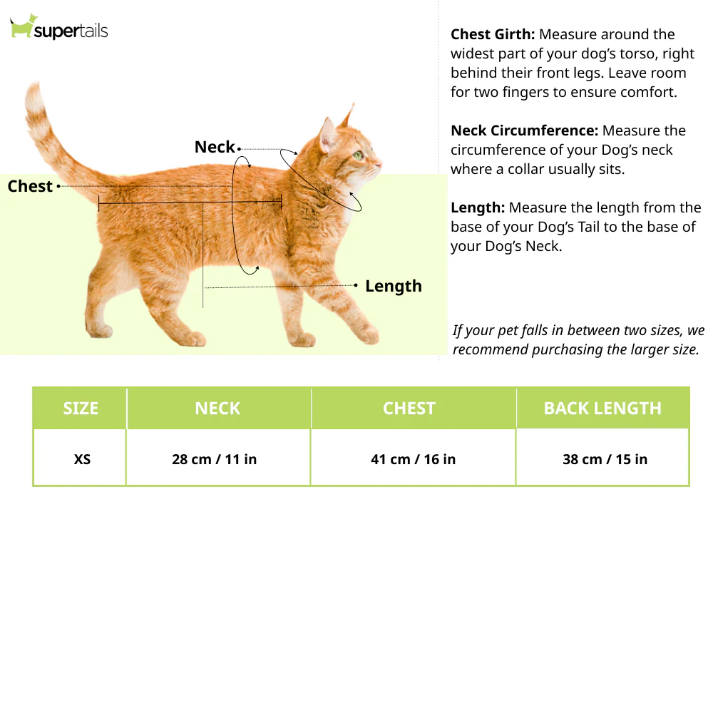 Dogobow Princess Dress for Dogs and Cats (Green) (Get a Bow Free) - Image 3