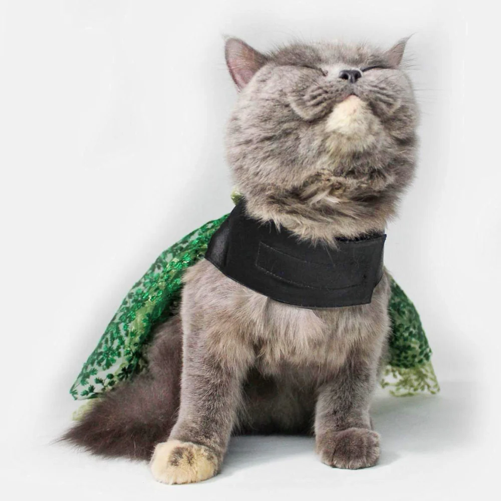 Dogobow Princess Dress for Dogs and Cats (Green) (Get a Bow Free) - Image 5