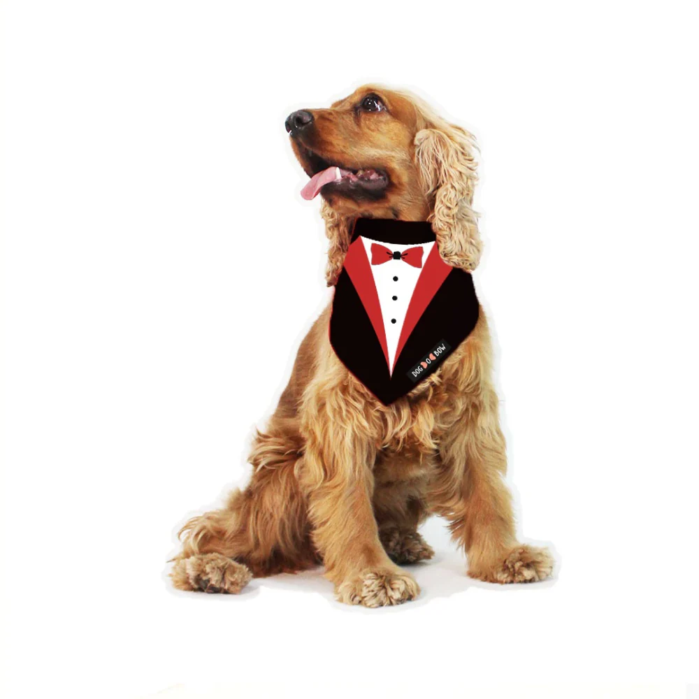Dogobow Tuxedo Printed Bandana for Dogs (Black/White) - Image 4
