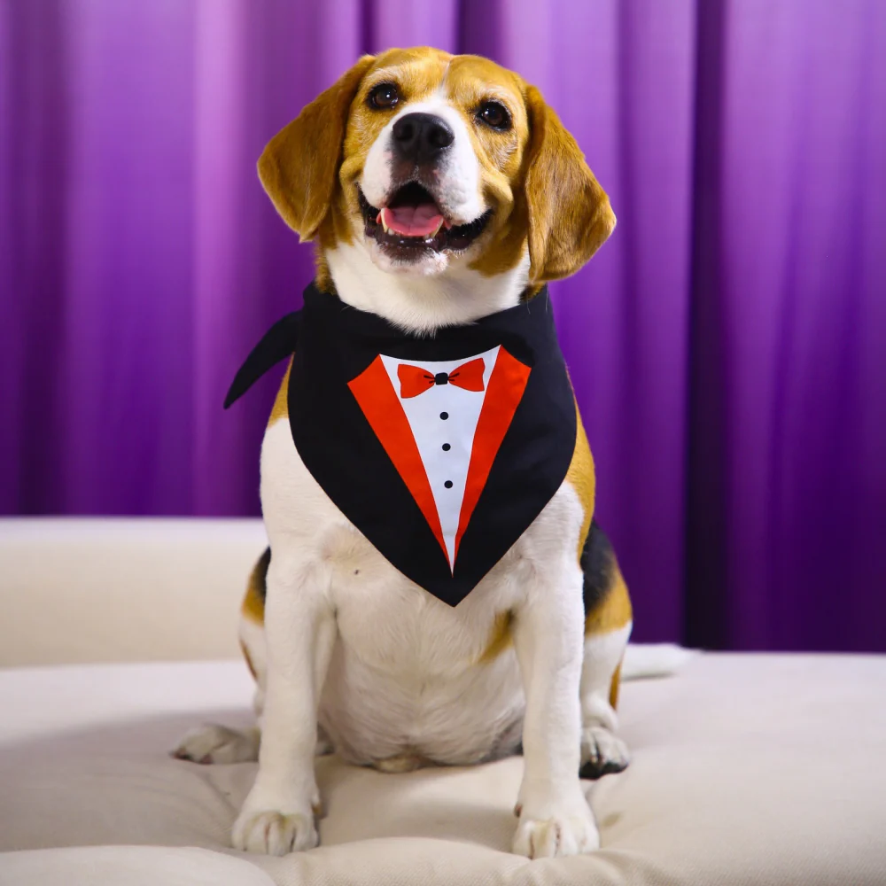 Dogobow Tuxedo Printed Bandana for Dogs (Black/White) - Image 6