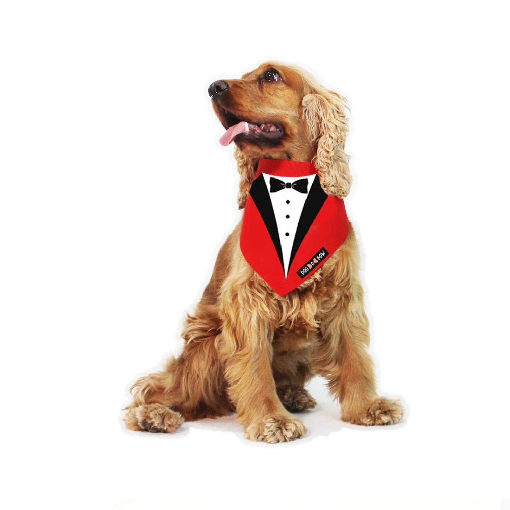 Dogobow Tuxedo Printed Bandana for Dogs (Red/Black) - Image 3