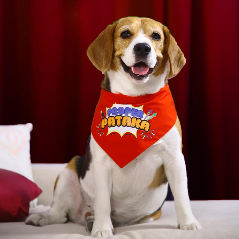 Dogobow Proper Pataka Bandana for Dogs (Red/White) - Image 4