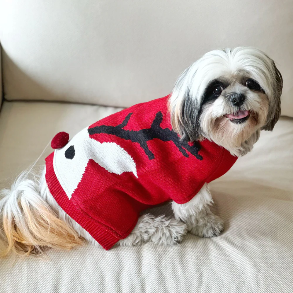 Dogobow Reindeer Knit Sweater for Dogs and Cats (Red) (Get a Bow Free) - Image 2