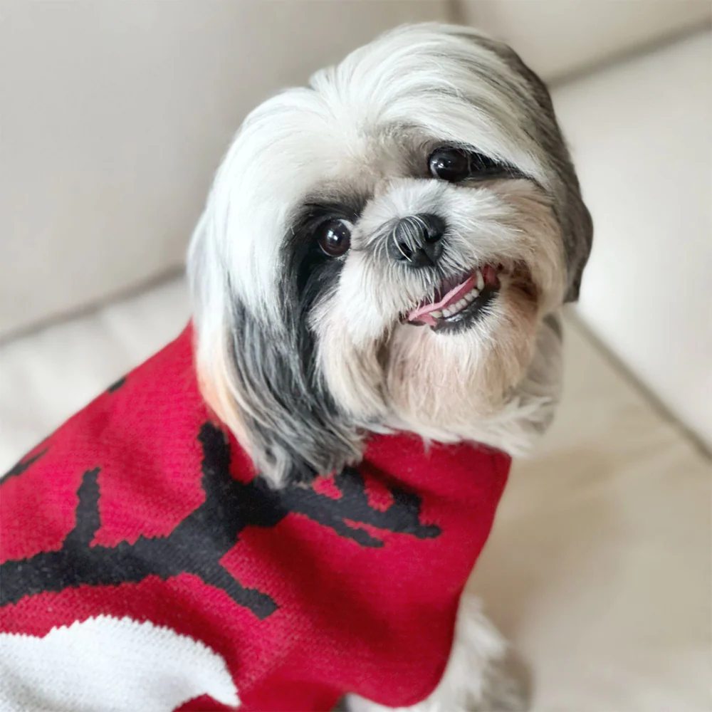 Dogobow Reindeer Knit Sweater for Dogs and Cats (Red) (Get a Bow Free) - Image 6