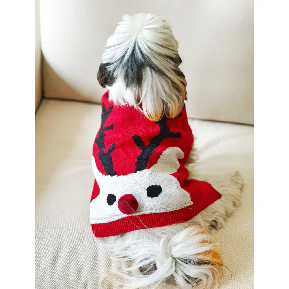 Dogobow Reindeer Knit Sweater for Dogs and Cats (Red) (Get a Bow Free) - Image 8