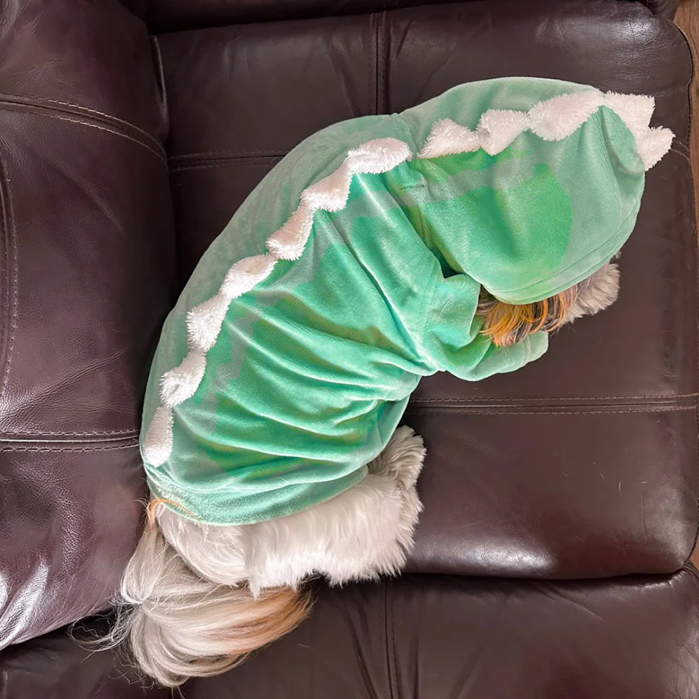 Dogobow The Good Dino Hoodie for Dogs and Cats (Teal Green/White) (Get a Bow Free) - Image 5