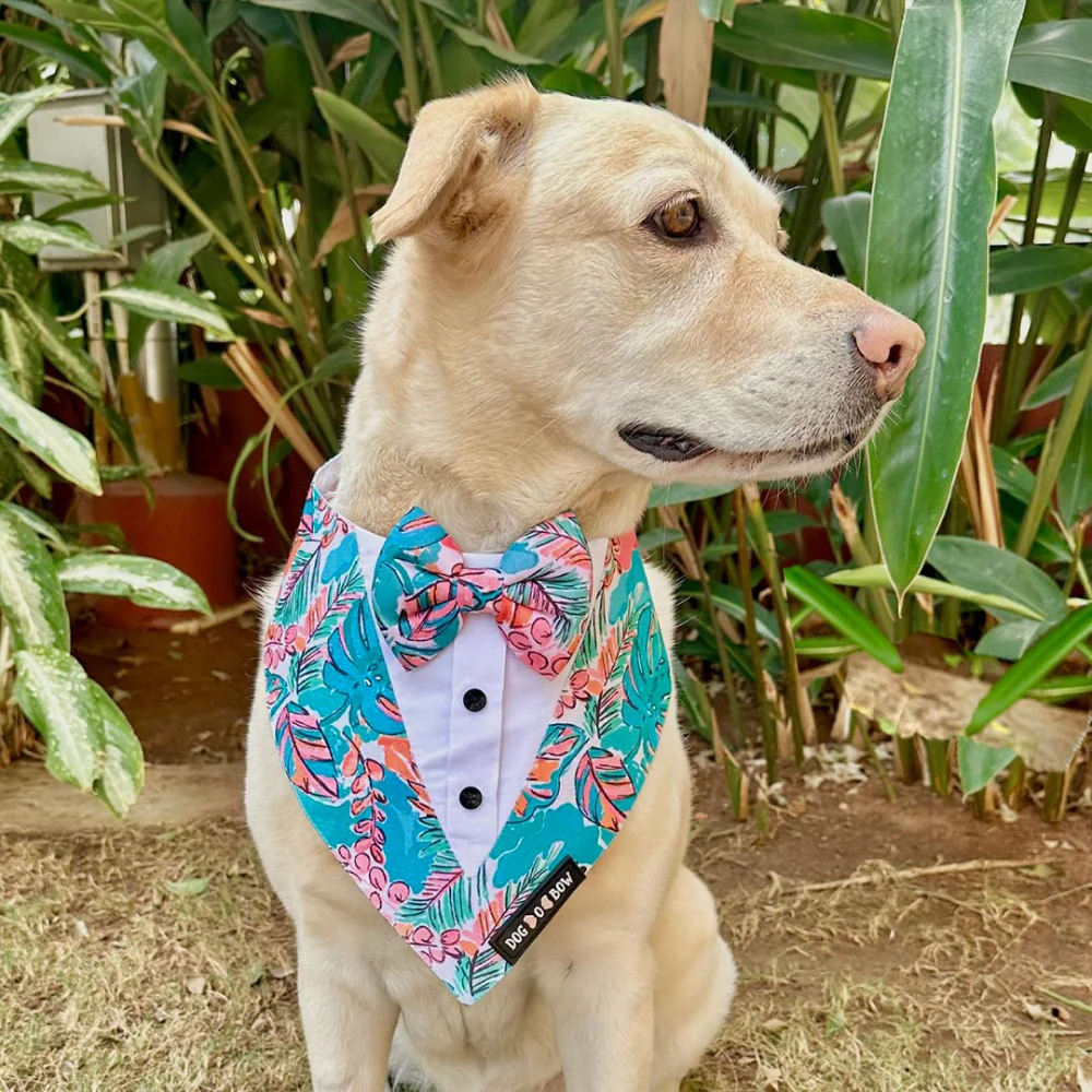 Dogobow Tropicana Print Tuxedo Bandana for Dogs (Blue) - Image 4
