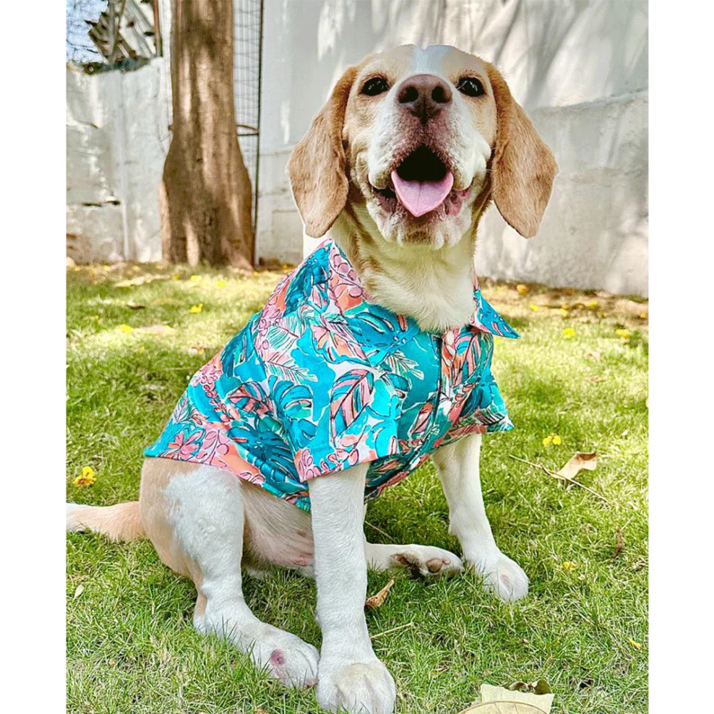 Dogobow Tropicana Shirt for Dogs and Cats (Aqua Blue) (Get a Bow Free) - Image 4