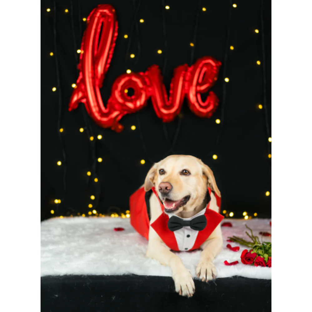 Dogobow Tuxedo for Dogs (Red) (Get a Bow Free) - Image 4