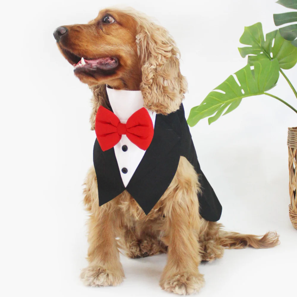 Dogobow Tuxedo Suit for Dogs and Cats (Black) (Get a Bow Free) - Image 3