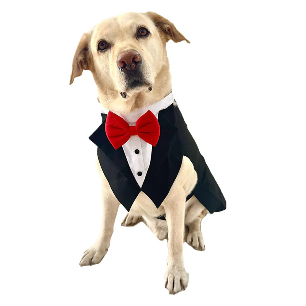 Dogobow Tuxedo Suit for Dogs and Cats (Black) (Get a Bow Free) - Image 4