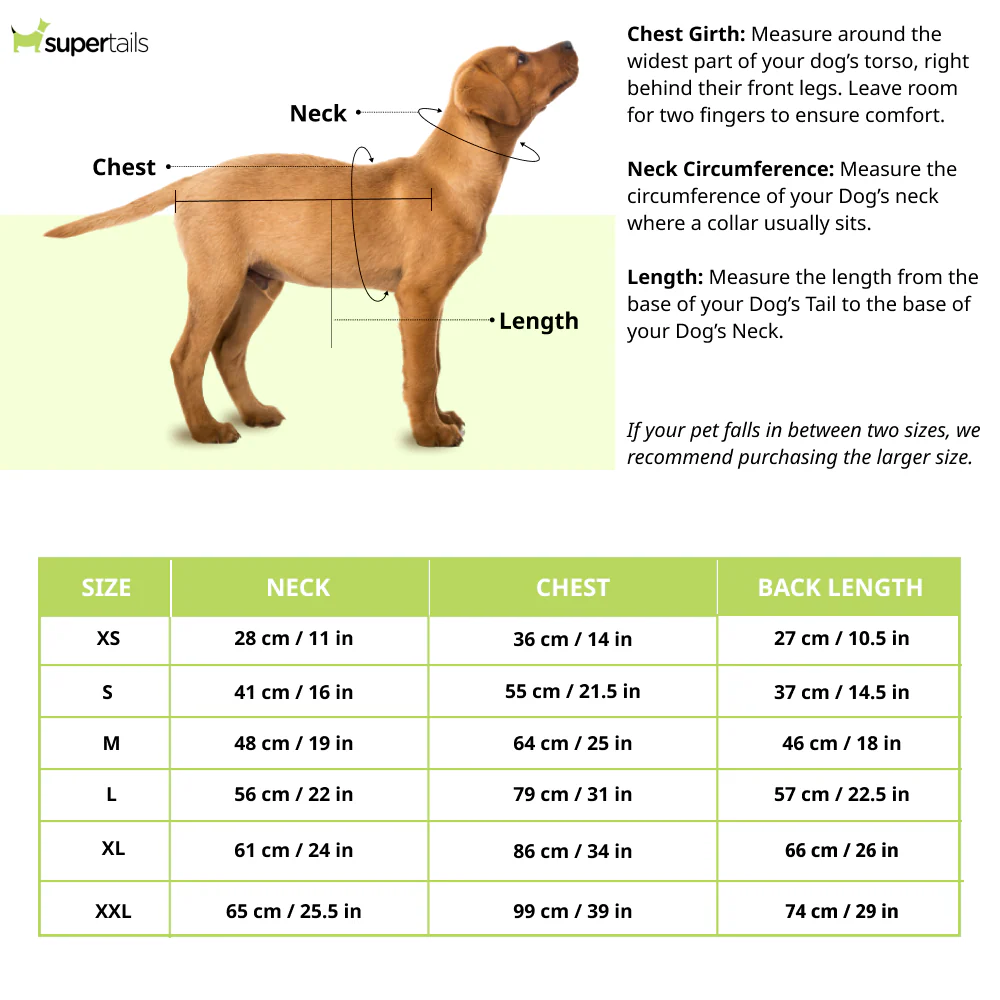 Dogobow Tuxedo Suit for Dogs and Cats (Black) (Get a Bow Free) - Image 6