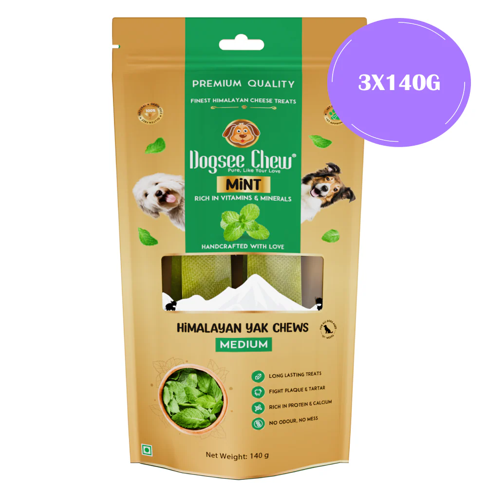 Dogsee Chew Mint Flavour Medium Bars Dog Treats - Image 4