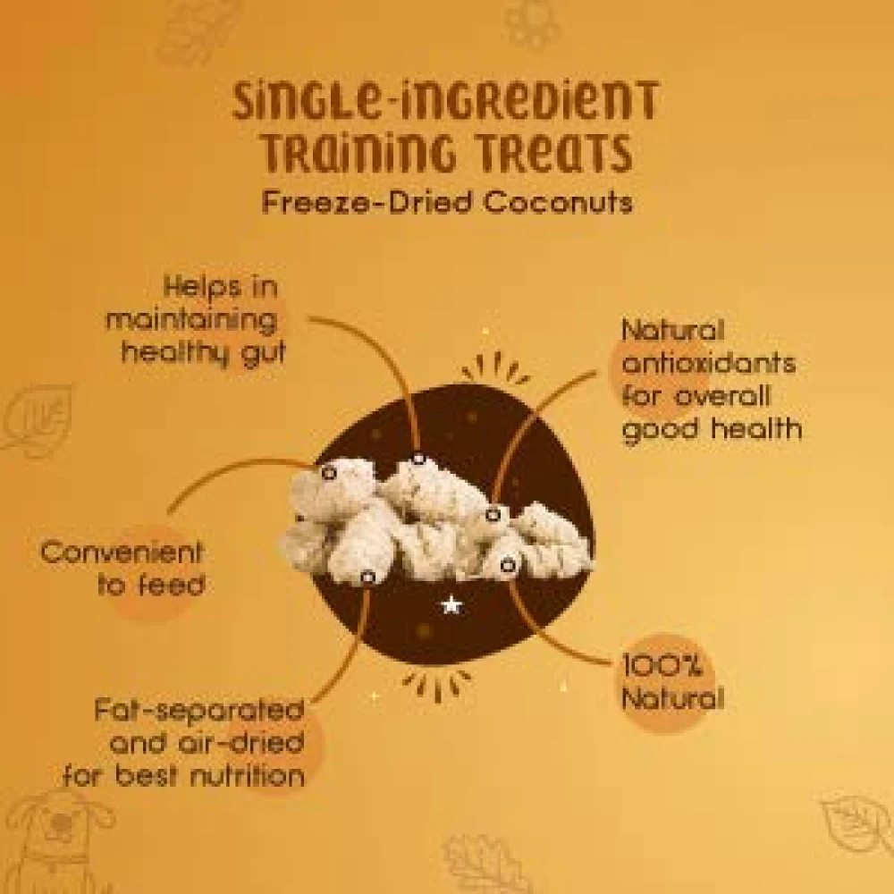Dogsee Crunch Freeze Dried Coconut Dog Treats - Image 3
