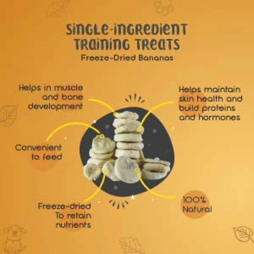 Dogsee Crunch Freeze Dried Banana Dog Treats - Image 2