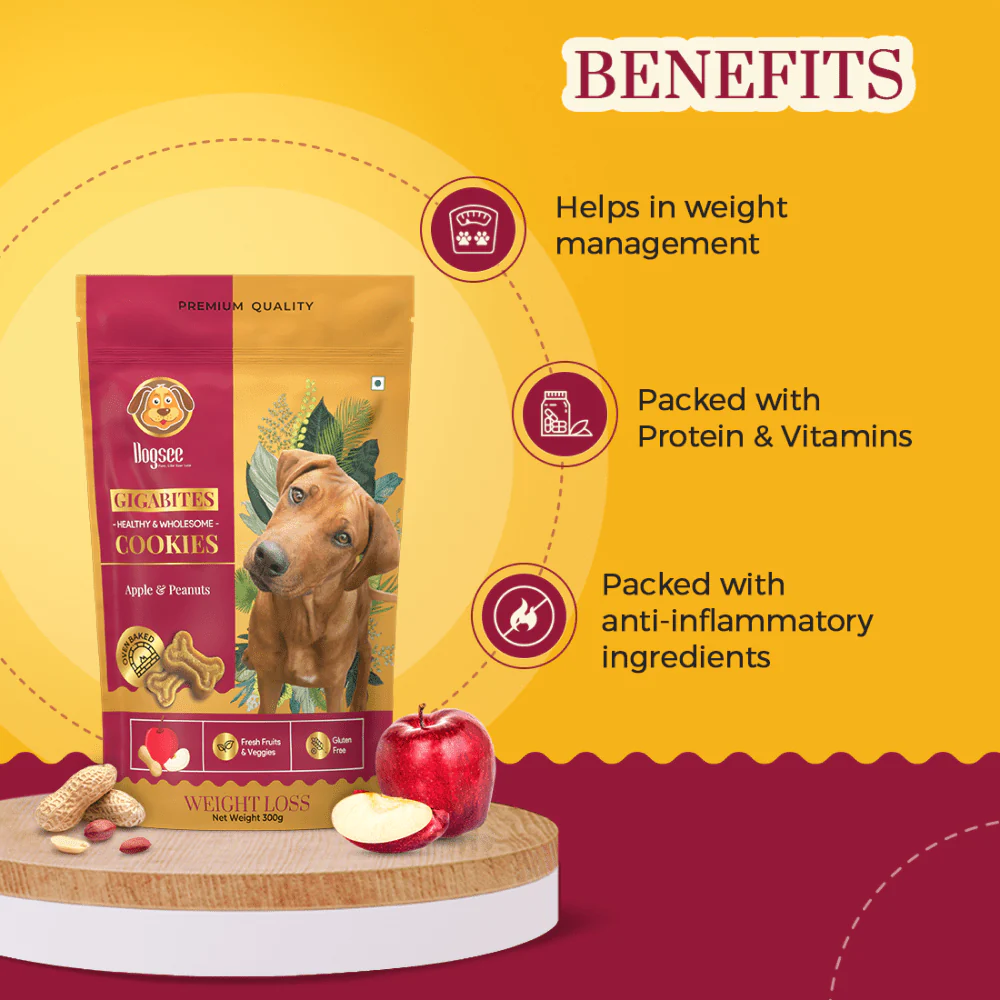 Dogsee Chew Gigabites Apple and Peanut Dog Cookie Treats - Image 3