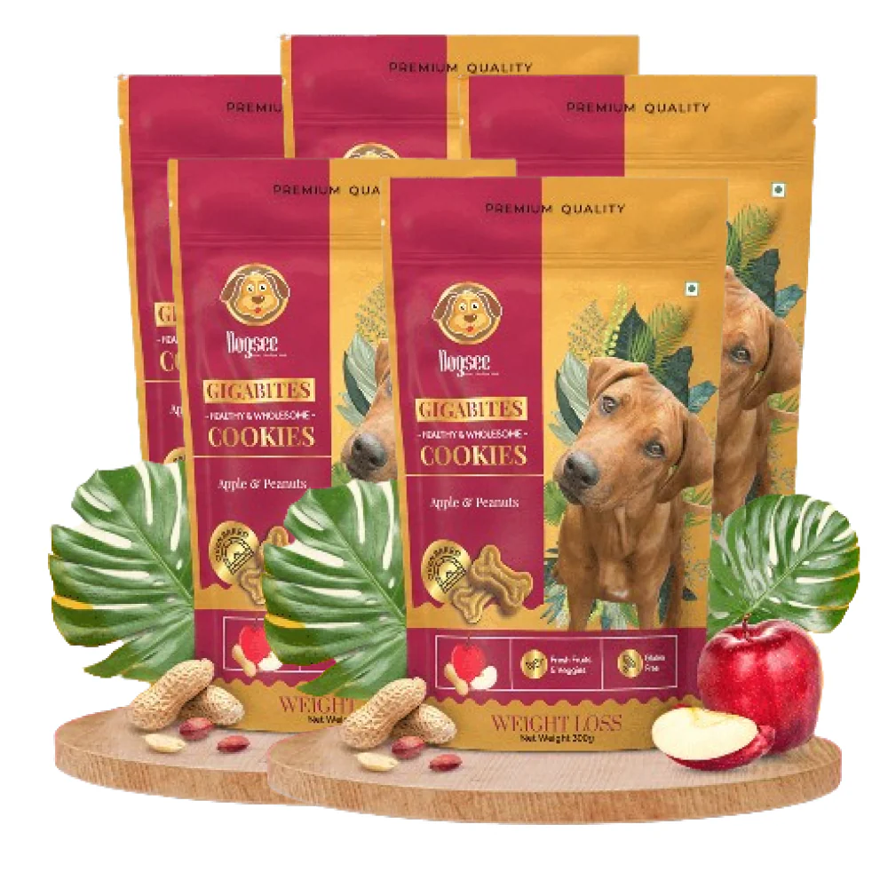Dogsee Chew Gigabites Apple and Peanut Dog Cookie Treats - Image 6