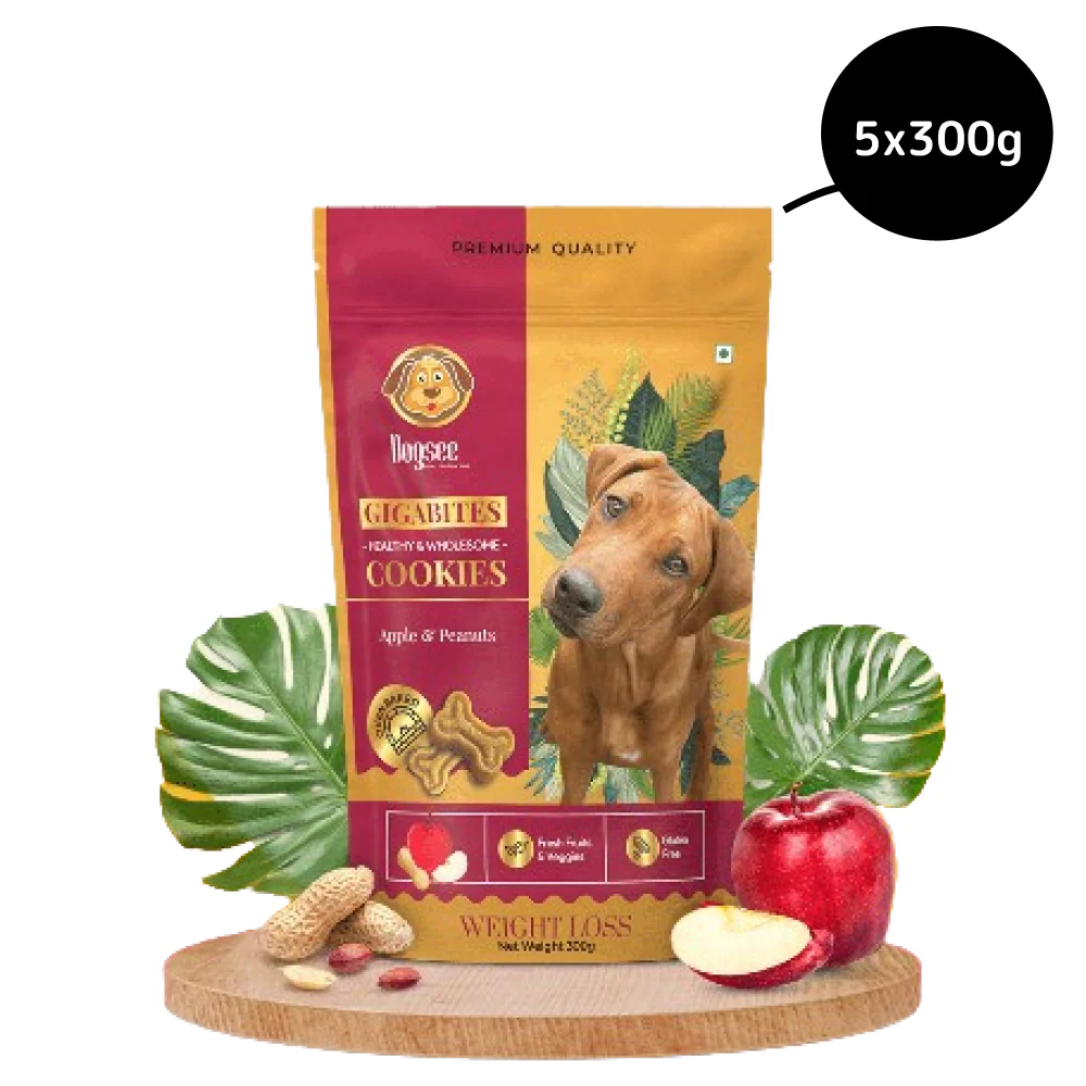Dogsee Chew Gigabites Apple and Peanut Dog Cookie Treats - Image 7