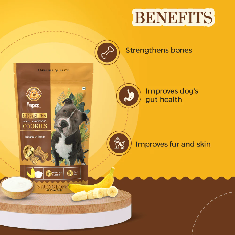 Dogsee Gigabites Banana Yogurt Dog Cookie Treats - Image 4