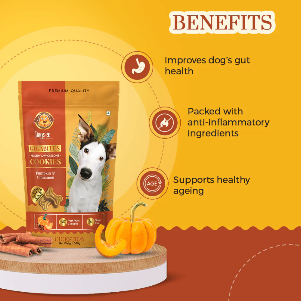 Dogsee Chew Gigabites Pumpkin and Cinnamon Dog Cookie Treats - Image 3