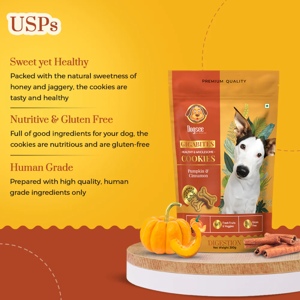 Dogsee Chew Gigabites Pumpkin and Cinnamon Dog Cookie Treats - Image 5
