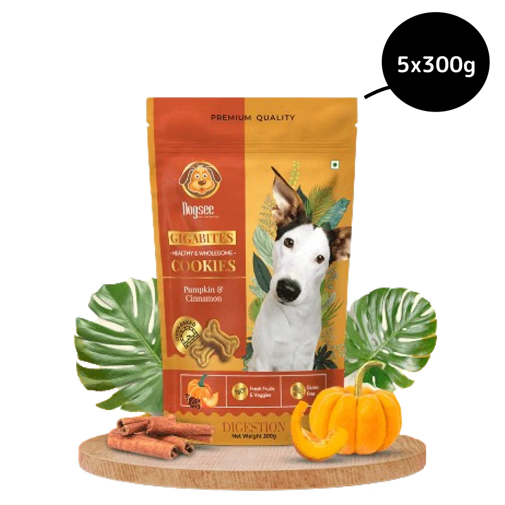 Dogsee Chew Gigabites Pumpkin and Cinnamon Dog Cookie Treats - Image 6